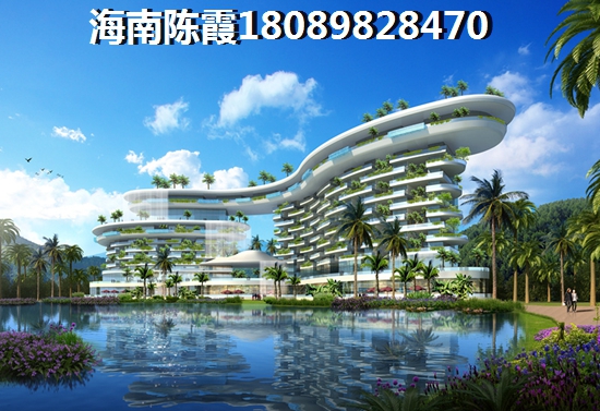 保亭椰之郡养优势解答